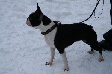 Snímek 043